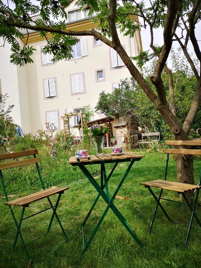 Combles & Vous Apartman Colmar Kültér fotó