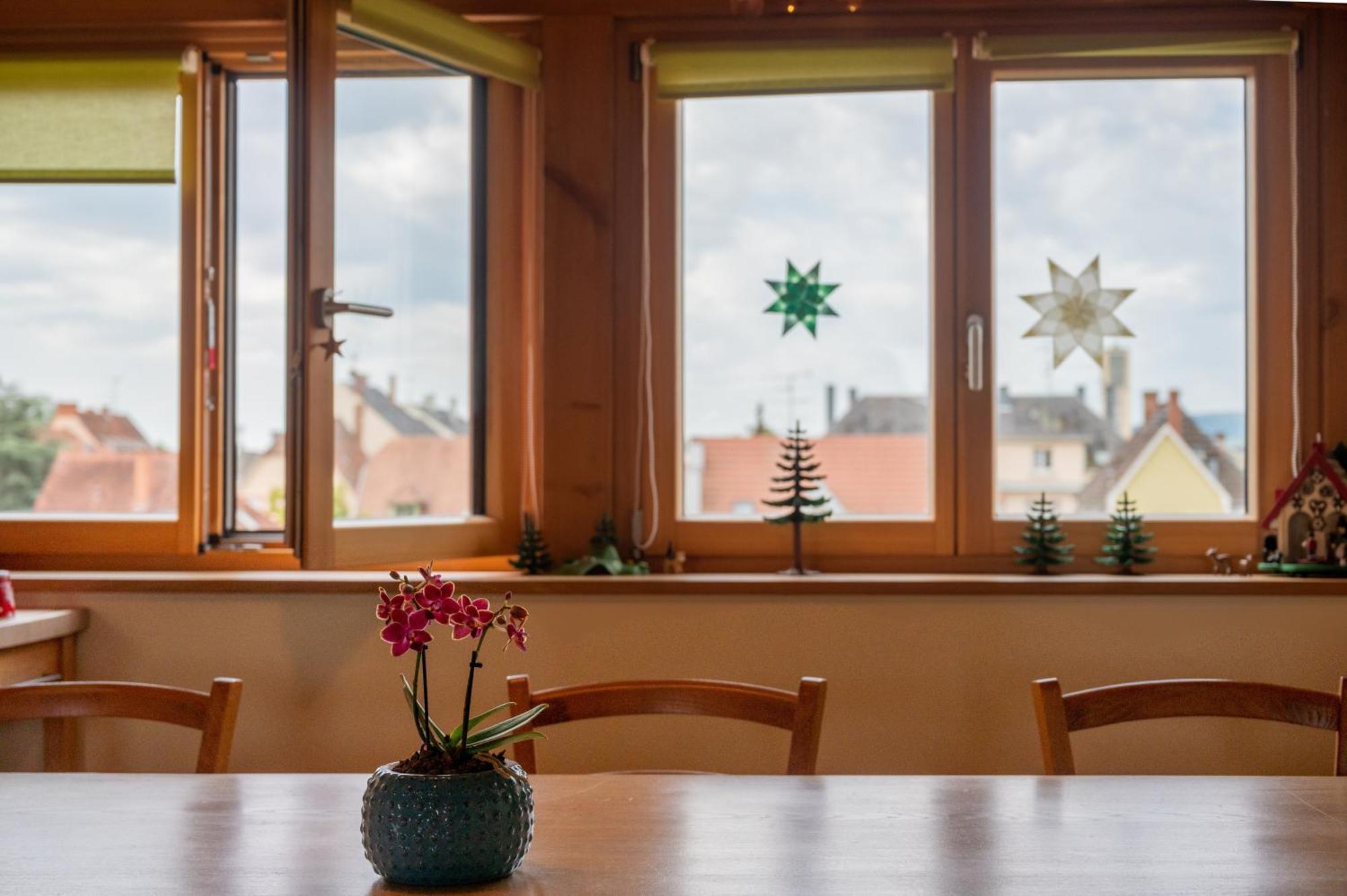 Combles & Vous Apartman Colmar Kültér fotó