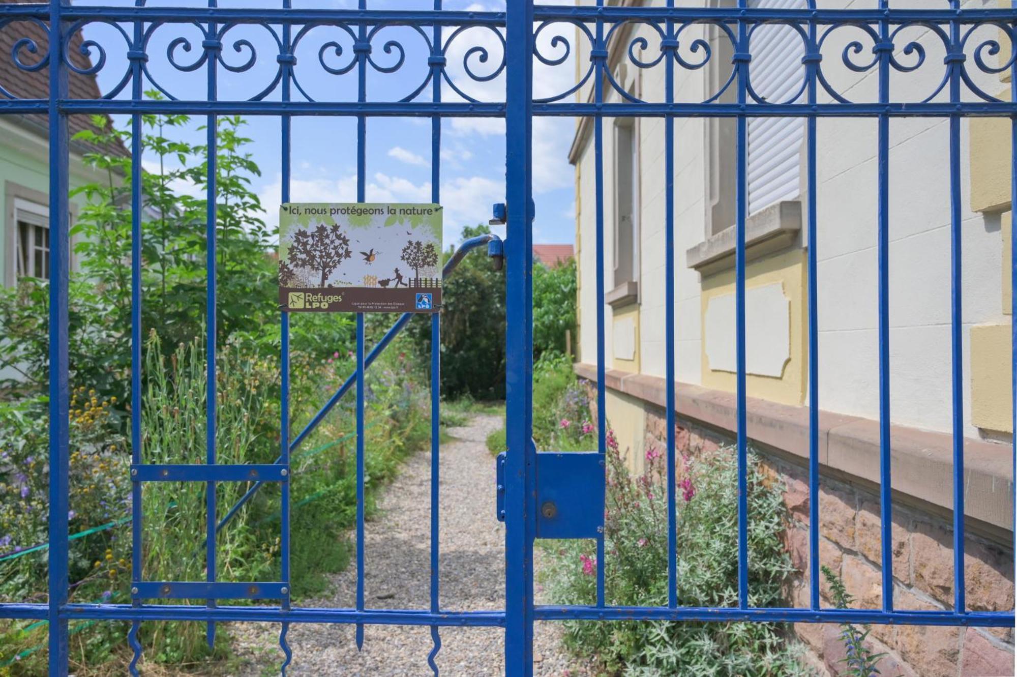 Combles & Vous Apartman Colmar Kültér fotó