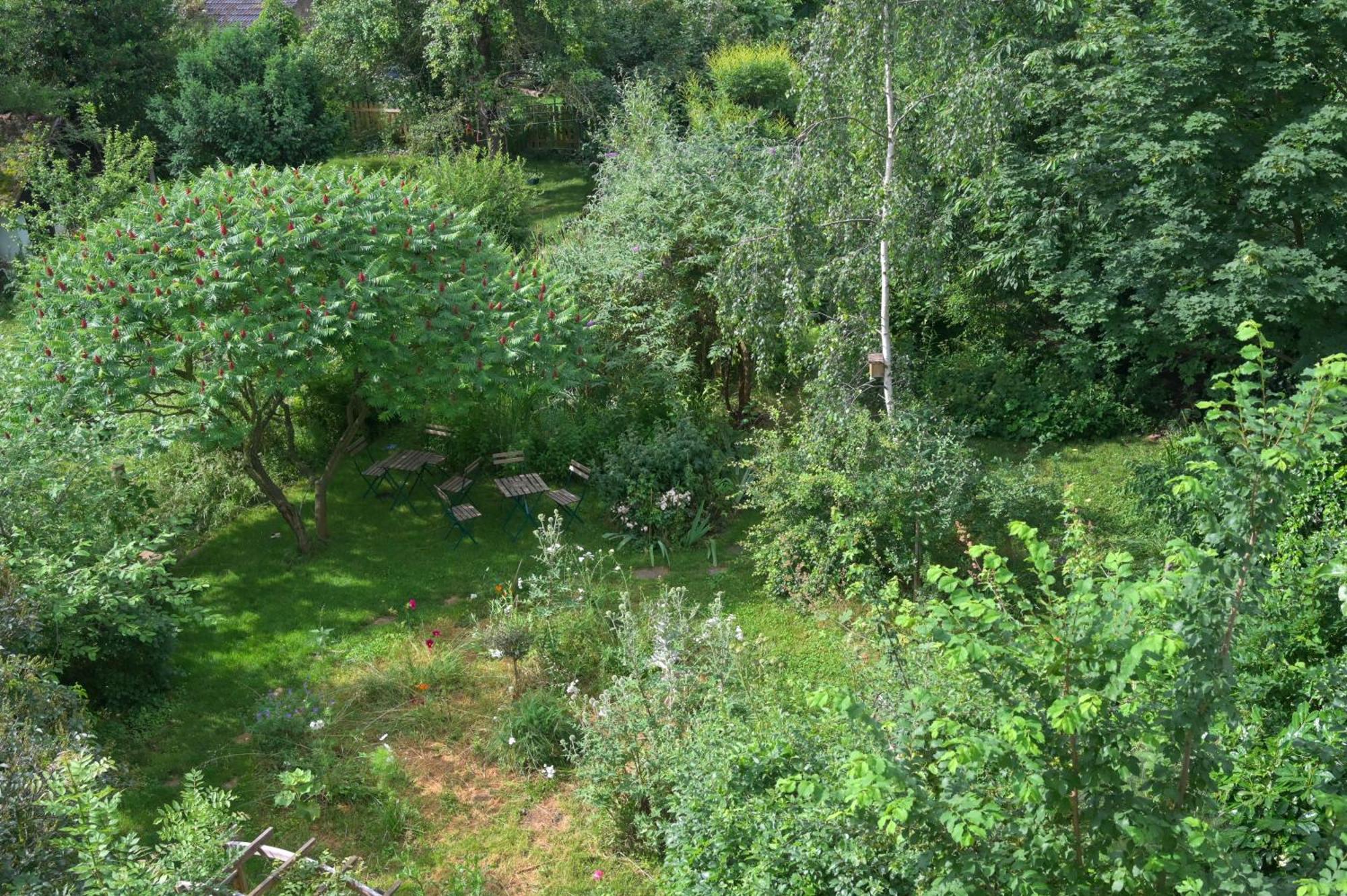 Combles & Vous Apartman Colmar Kültér fotó